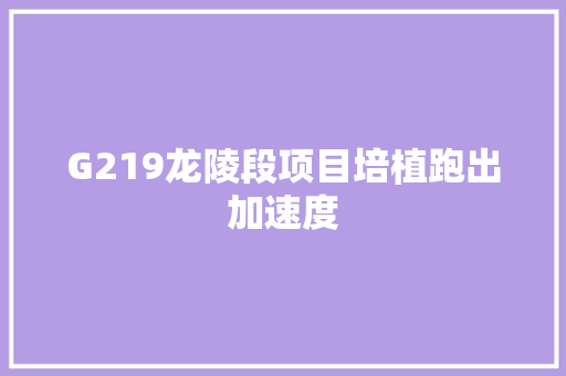 G219龙陵段项目培植跑出加速度