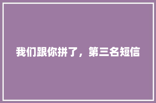 我们跟你拼了，第三名短信