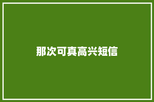 那次可真高兴短信