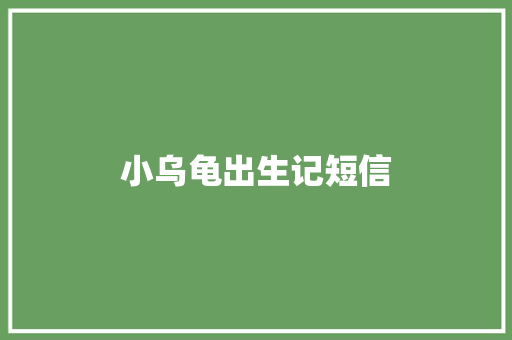 小乌龟出生记短信