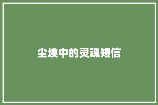尘埃中的灵魂短信