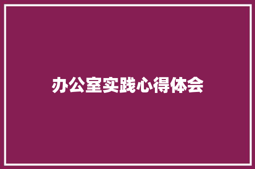 办公室实践心得体会