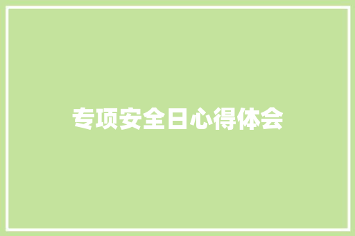 专项安全日心得体会