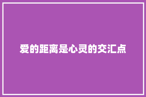 爱的距离是心灵的交汇点 休闲娱乐