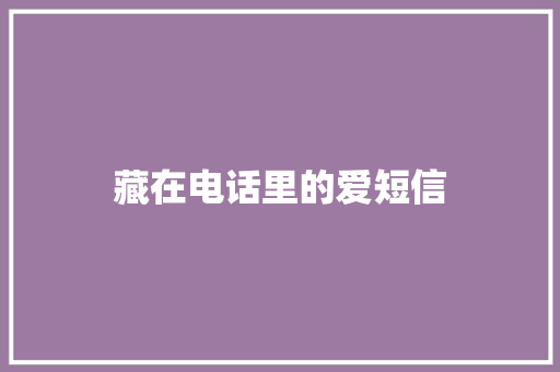 藏在电话里的爱短信