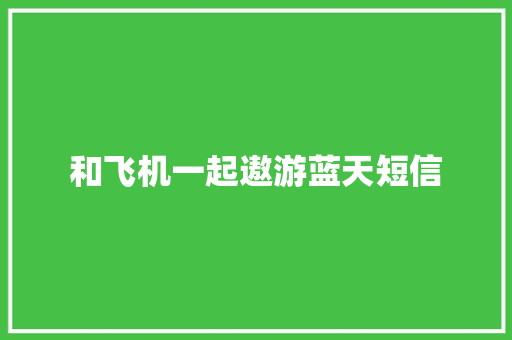 和飞机一起遨游蓝天短信