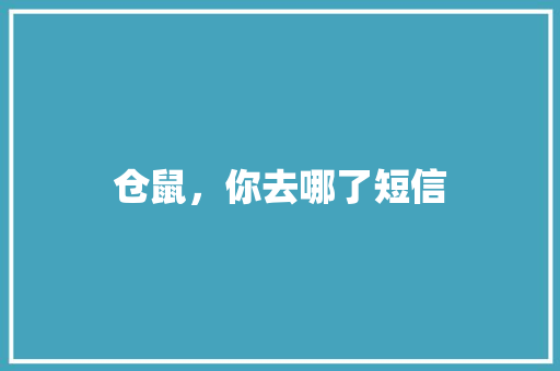 仓鼠，你去哪了短信