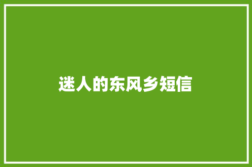 迷人的东风乡短信