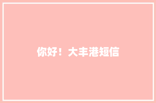 你好！大丰港短信