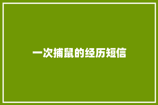 一次捕鼠的经历短信