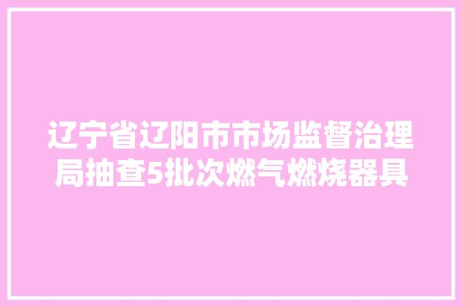 辽宁省辽阳市市场监督治理局抽查5批次燃气燃烧器具产品不合格
