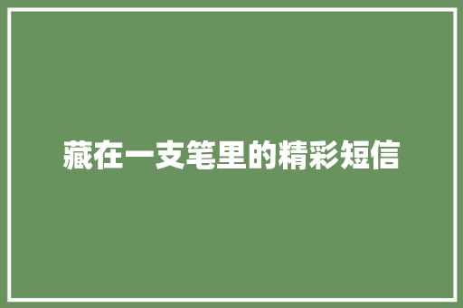 藏在一支笔里的精彩短信