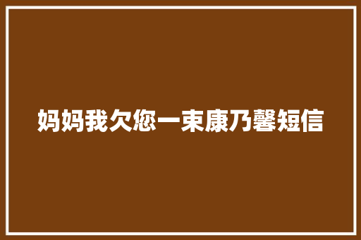 妈妈我欠您一束康乃馨短信