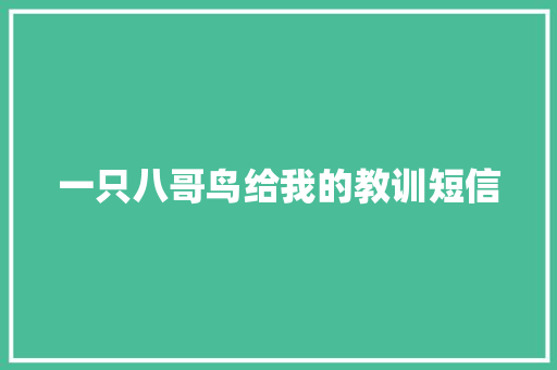 一只八哥鸟给我的教训短信