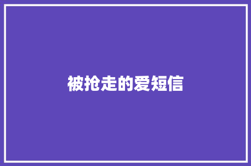 被抢走的爱短信