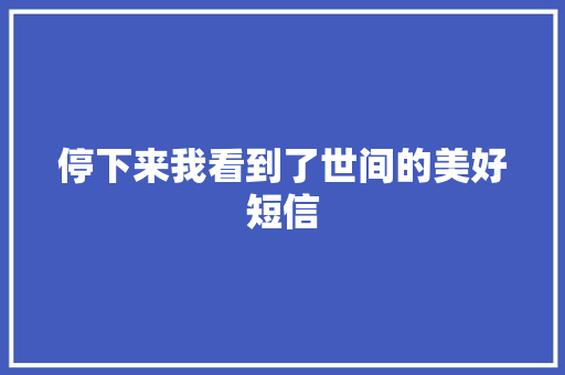 停下来我看到了世间的美好短信