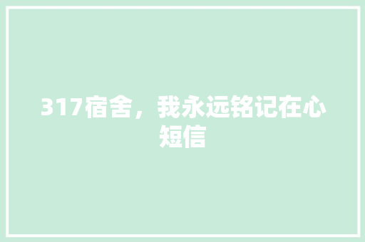 317宿舍，我永远铭记在心短信