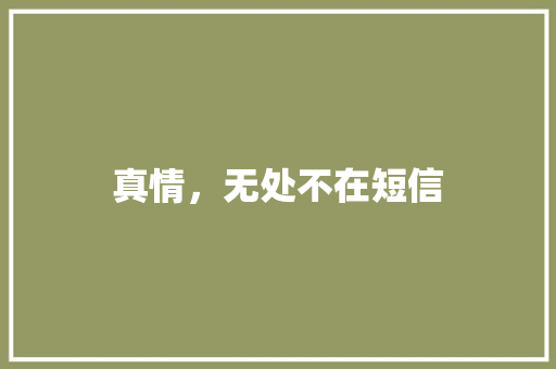 真情，无处不在短信