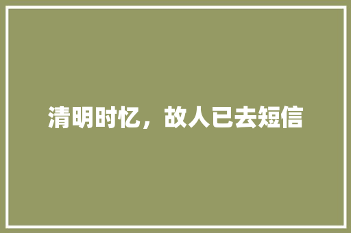 清明时忆，故人已去短信