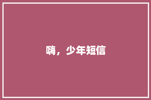 嗨，少年短信