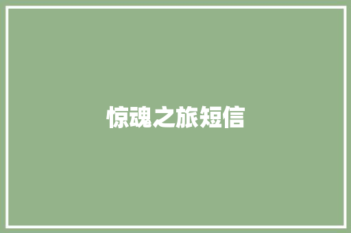 惊魂之旅短信