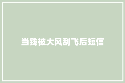当钱被大风刮飞后短信