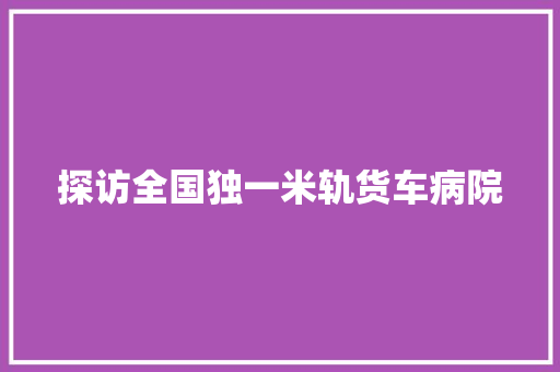 探访全国独一米轨货车病院