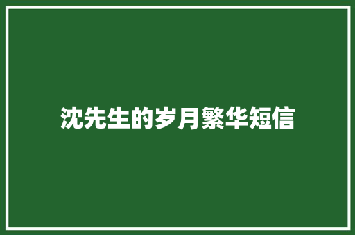 沈先生的岁月繁华短信