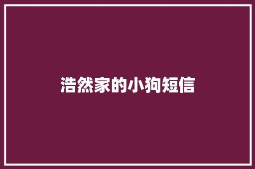 浩然家的小狗短信