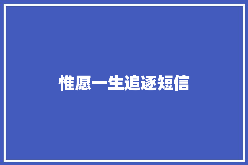 惟愿一生追逐短信