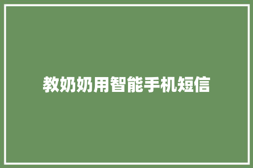 教奶奶用智能手机短信