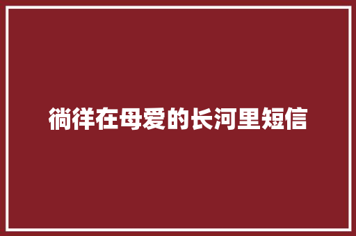 徜徉在母爱的长河里短信