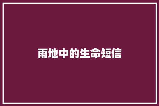 雨地中的生命短信