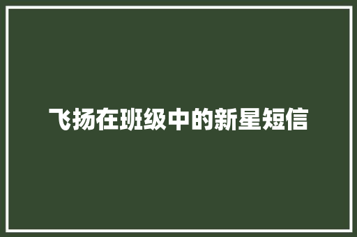 飞扬在班级中的新星短信