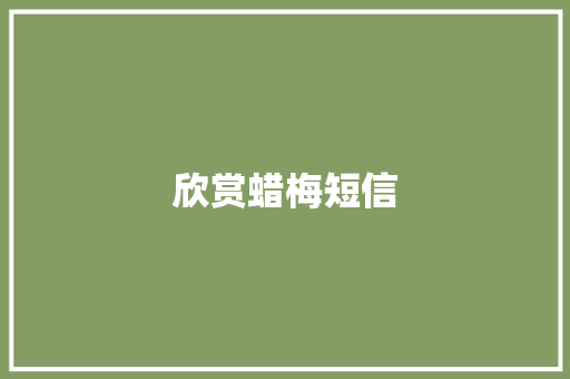 欣赏蜡梅短信