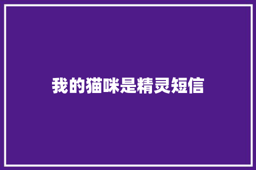 我的猫咪是精灵短信