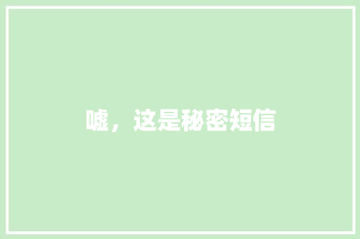 嘘，这是秘密短信