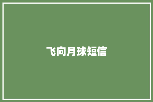 飞向月球短信