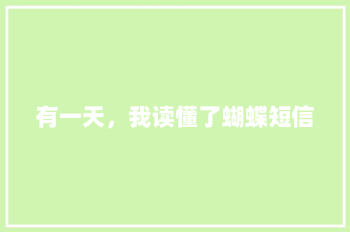 有一天，我读懂了蝴蝶短信