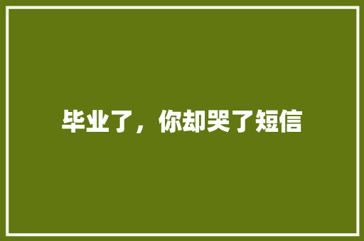毕业了，你却哭了短信