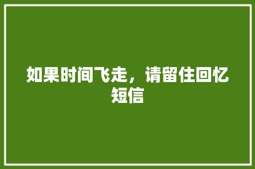 如果时间飞走，请留住回忆短信