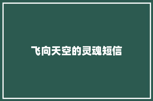 飞向天空的灵魂短信