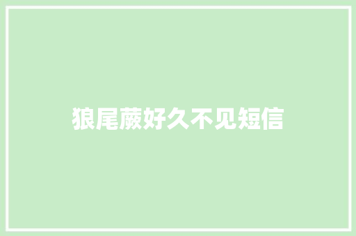 狼尾蕨好久不见短信