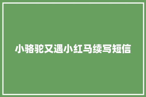 小骆驼又遇小红马续写短信