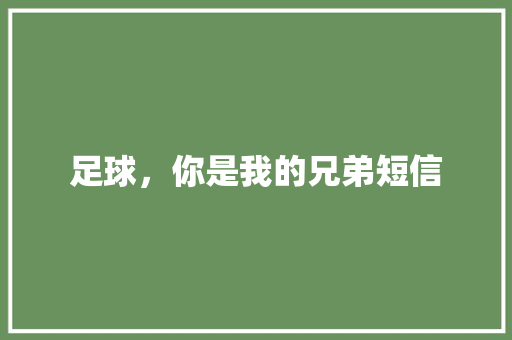足球，你是我的兄弟短信 知识百科