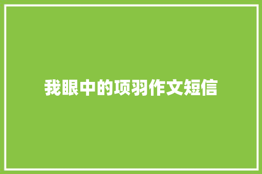 我眼中的项羽作文短信