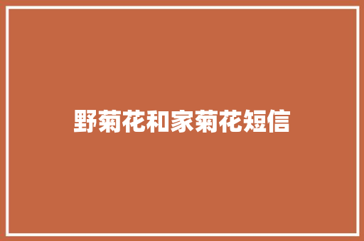 野菊花和家菊花短信