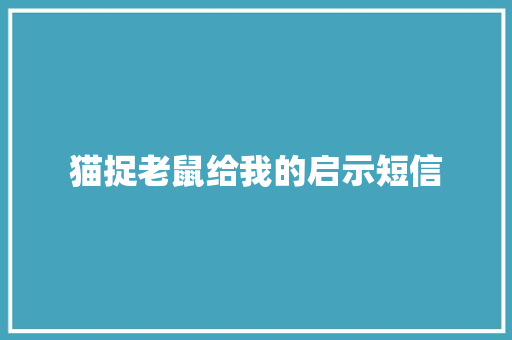 猫捉老鼠给我的启示短信