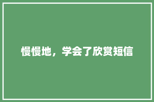 慢慢地，学会了欣赏短信