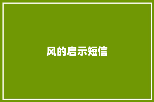 风的启示短信